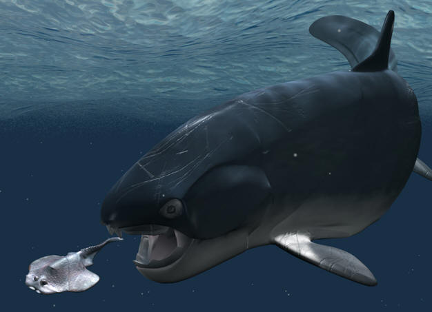 Dunkleosteus terrelli v Great White Shark Carnivora